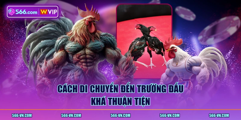 Cách di chuyển đến trường đấu khá thuận tiện