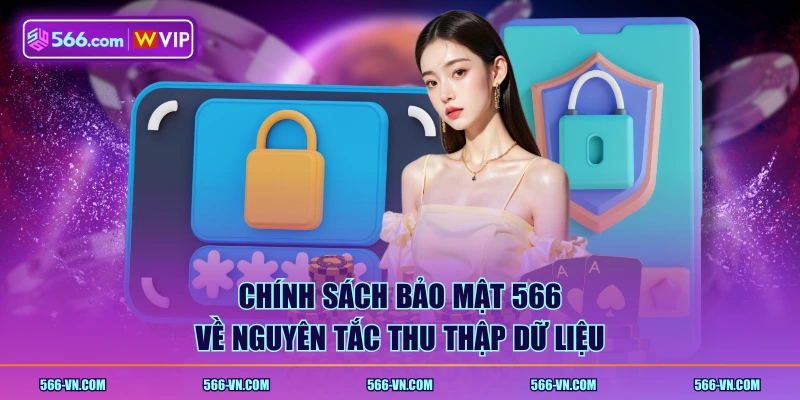 Chính sách bảo mật 566 về nguyên tắc thu thập dữ liệu