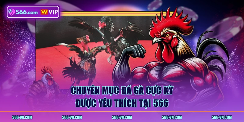 Chuyên mục Đá Gà cực kỳ được yêu thích tại 566
