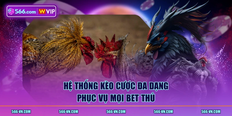 Hệ thống kèo cược đa dạng phục vụ mọi bet thủ
